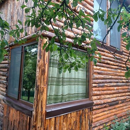 Casa Sara Nucsoara Hotel Екстериор снимка
