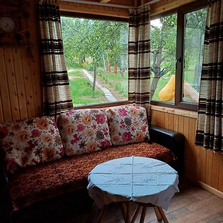 Casa Sara Nucsoara Hotel Екстериор снимка