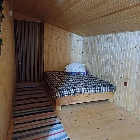 Casa Sara Nucsoara Hotel Екстериор снимка