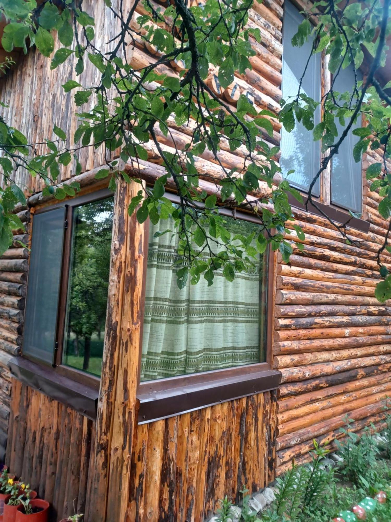 Casa Sara Nucsoara Hotel Екстериор снимка