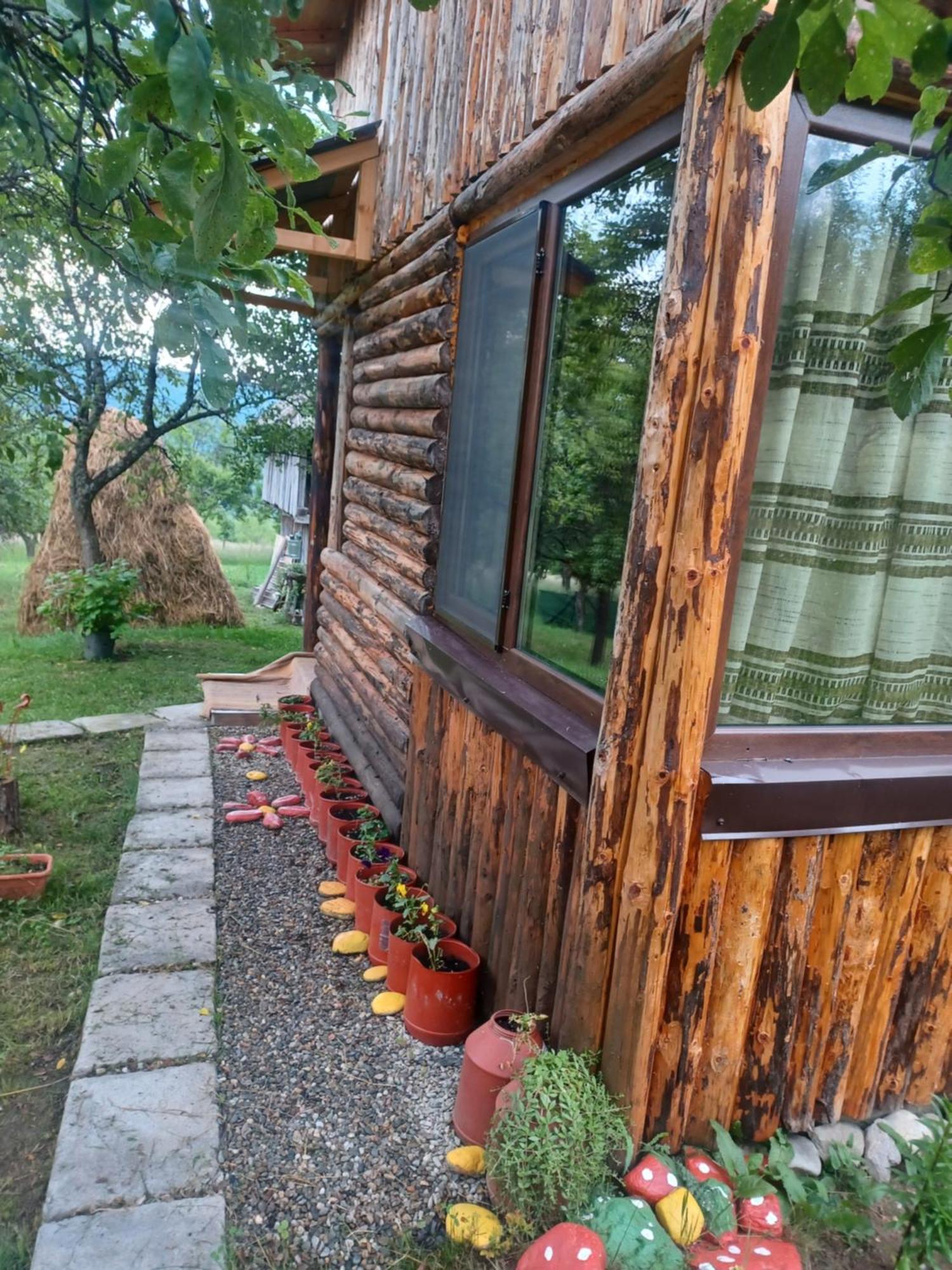 Casa Sara Nucsoara Hotel Екстериор снимка