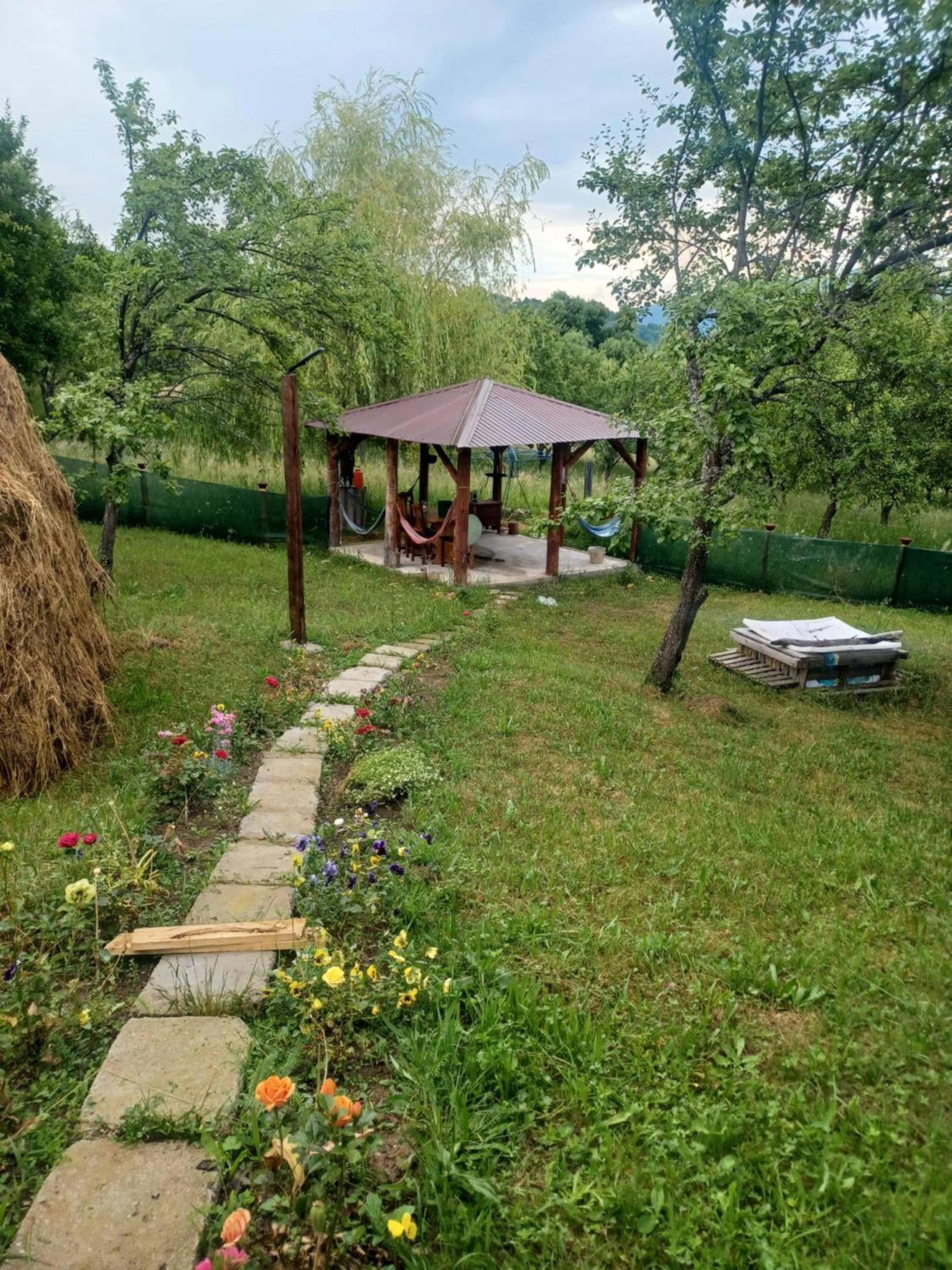 Casa Sara Nucsoara Hotel Екстериор снимка