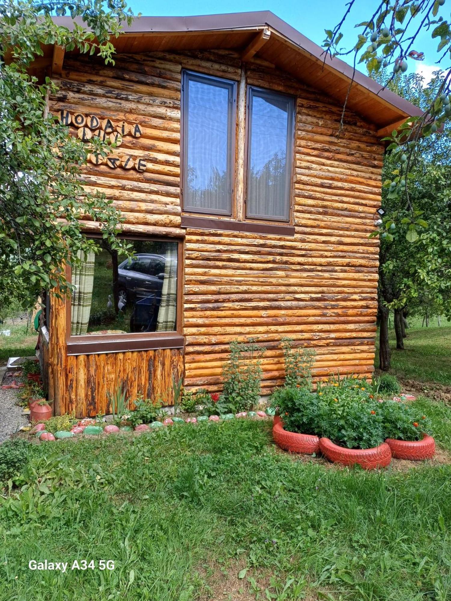 Casa Sara Nucsoara Hotel Екстериор снимка